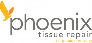 Phoenix Tissue Repair, EB2020, EB Congress, EB World Congress, Blisters, Genetic, Skin cancer, Infection